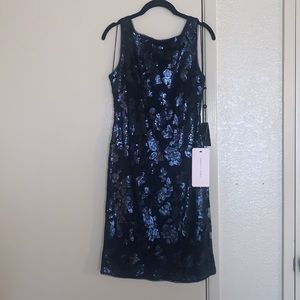 New Adrianna Papell Mesh & Sequin Dress